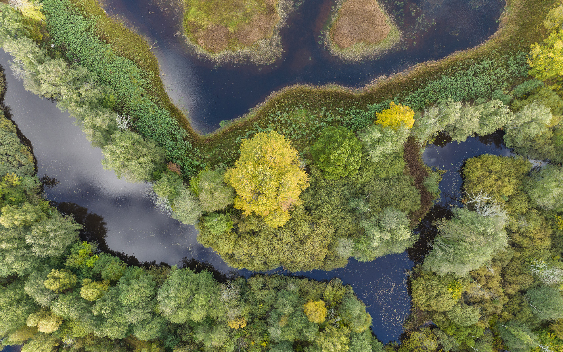 Blekinge River Lyckebyån Strågeryd