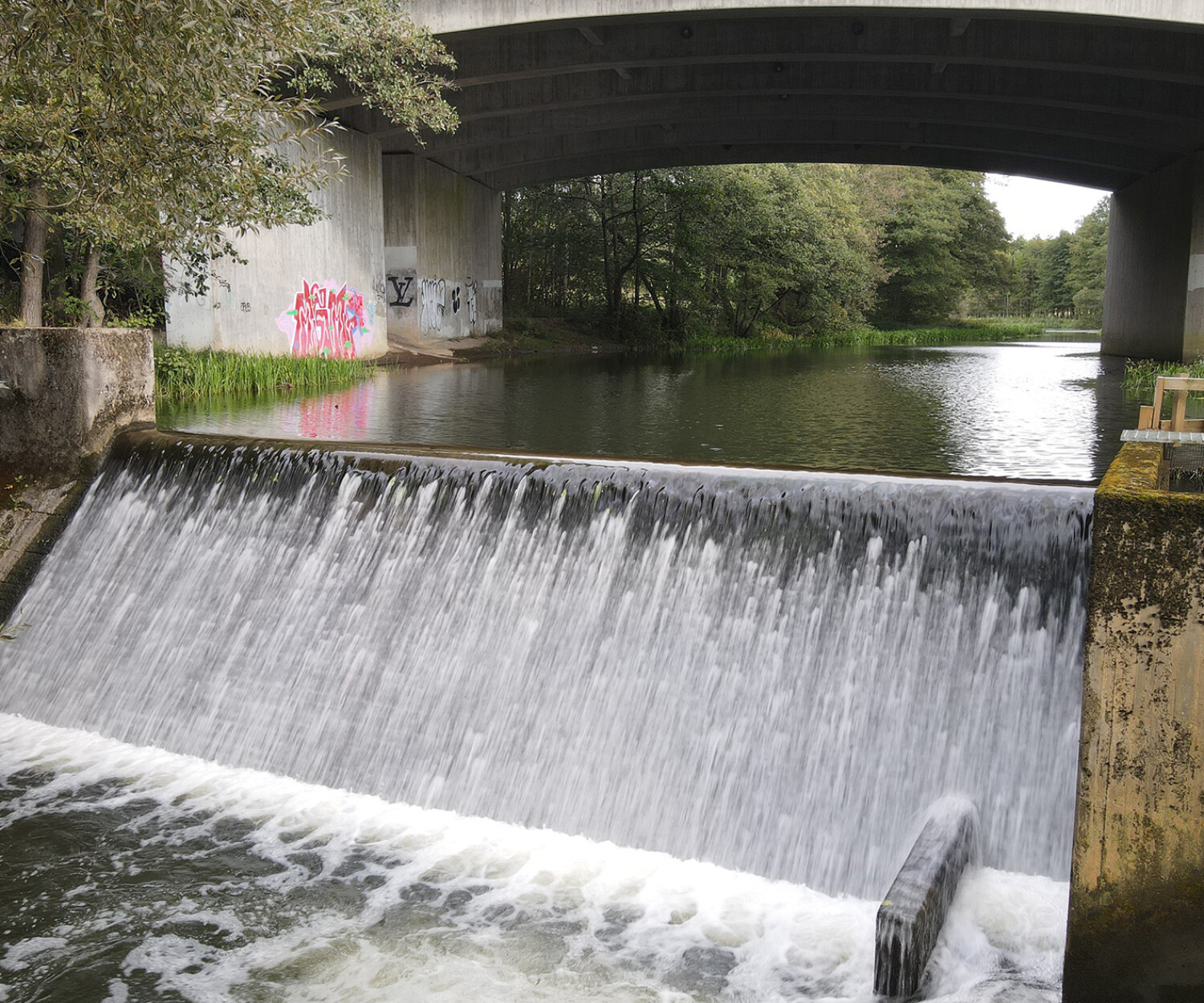 Görarpsdammen före utrivning. Foto Ebbe Berglund.