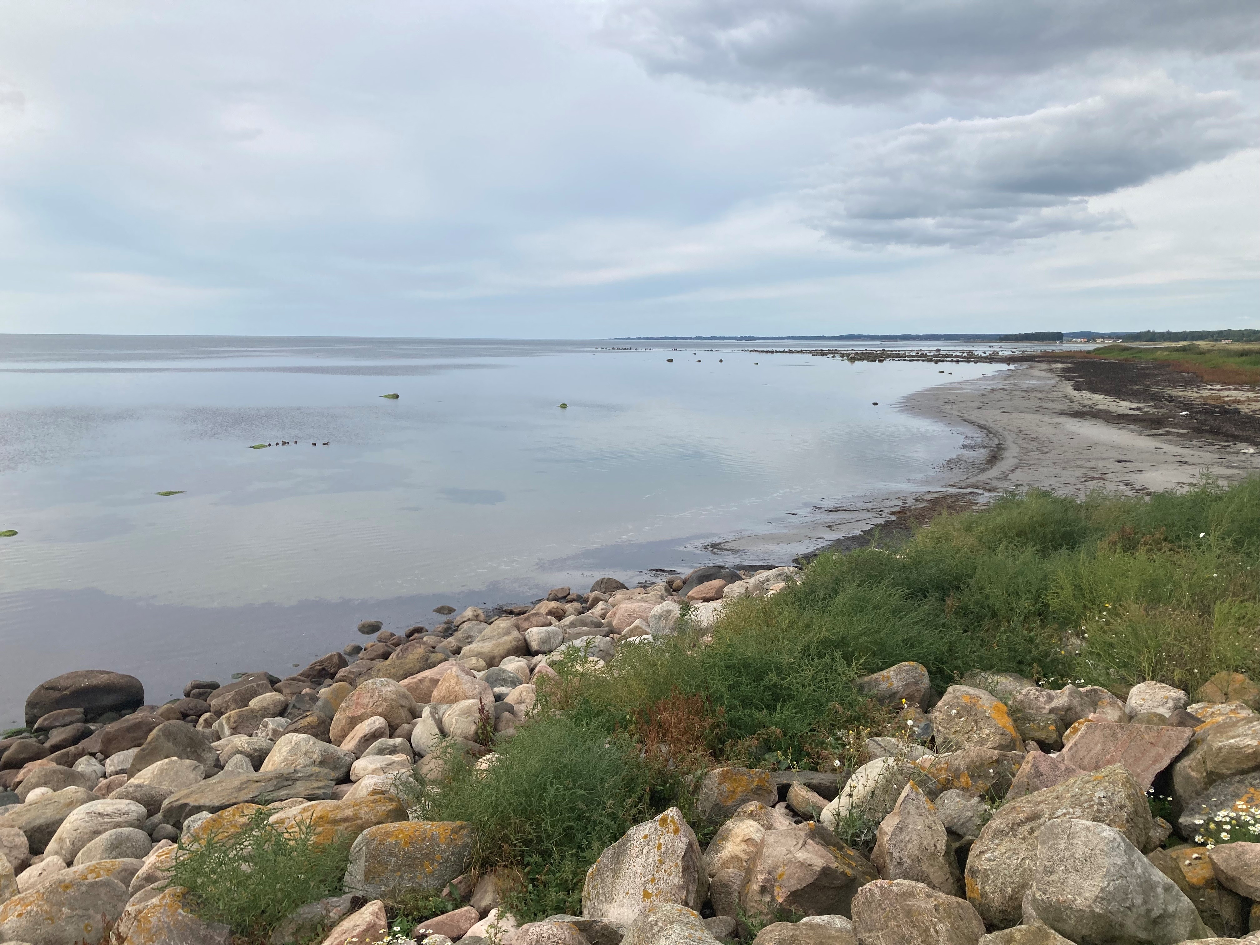 Skälderviken in Skåne with stones in the foreground illustrating that stones from the coast have been removed by 'stone fishing' and the stone reefs need to be restored to bring back the habitats that have disappeared.