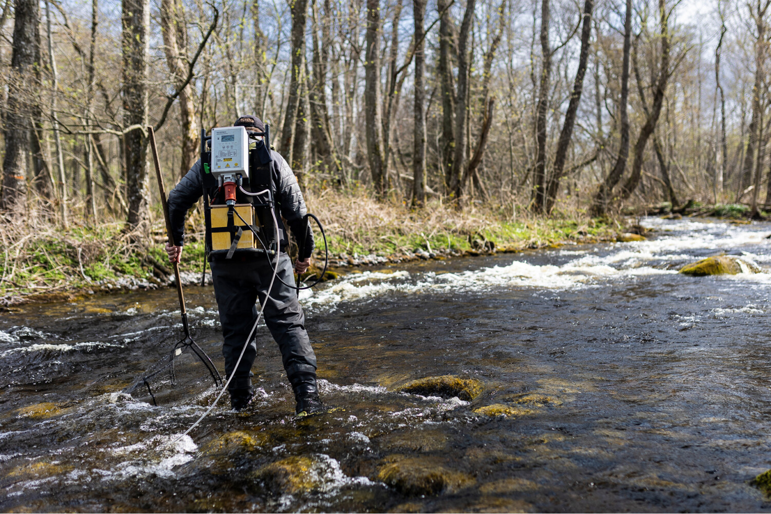 Electrofishing is a good method to inventory species. Photo: Mathias Arnhem. 