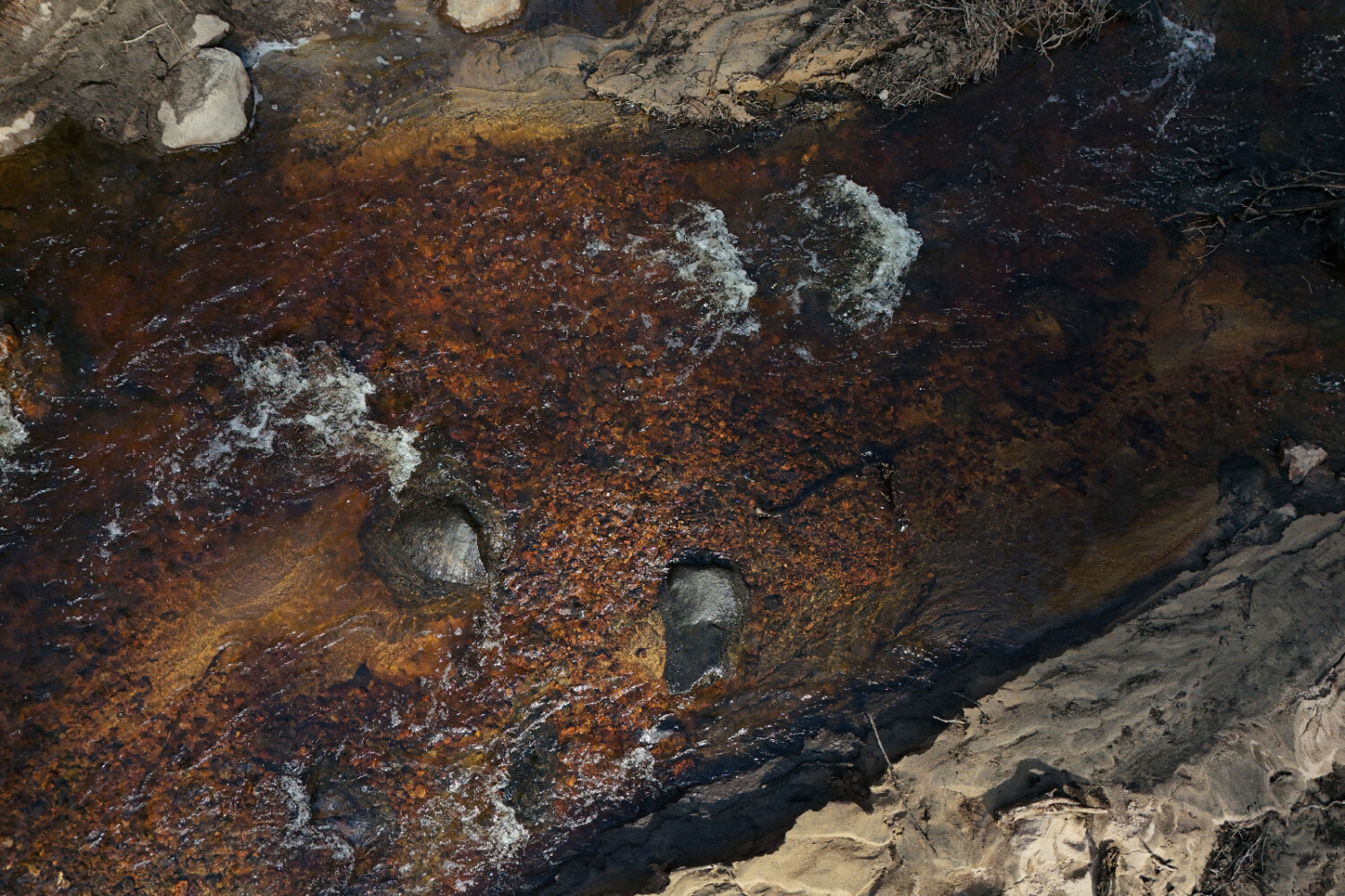 Fina lekbottnar som tidigare varit indämnda. Foto: Ebbe Berglund