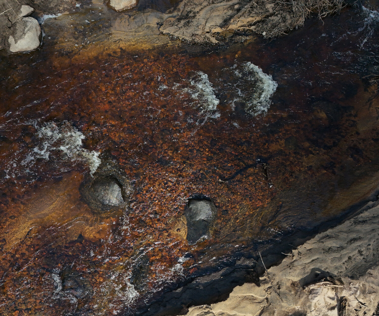 Fina lekbottnar som tidigare varit indämnda. Foto: Ebbe Berglund