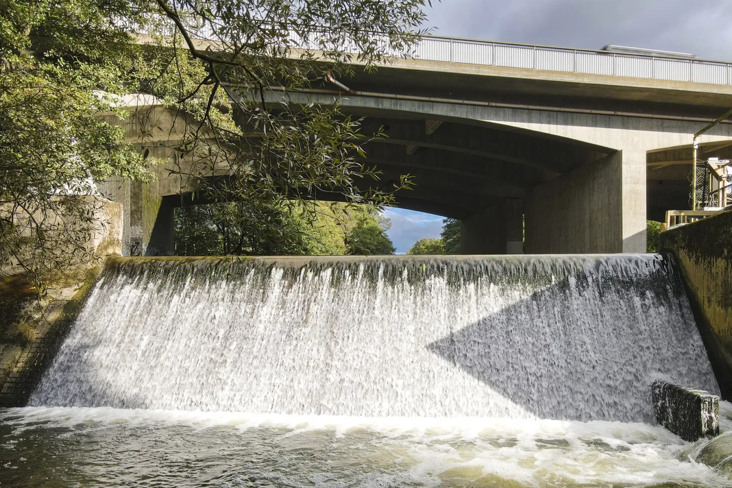 Vandringshindret i Görarpsdammen, Råån är snart att minne blott. Foto: Ebbe Berglund