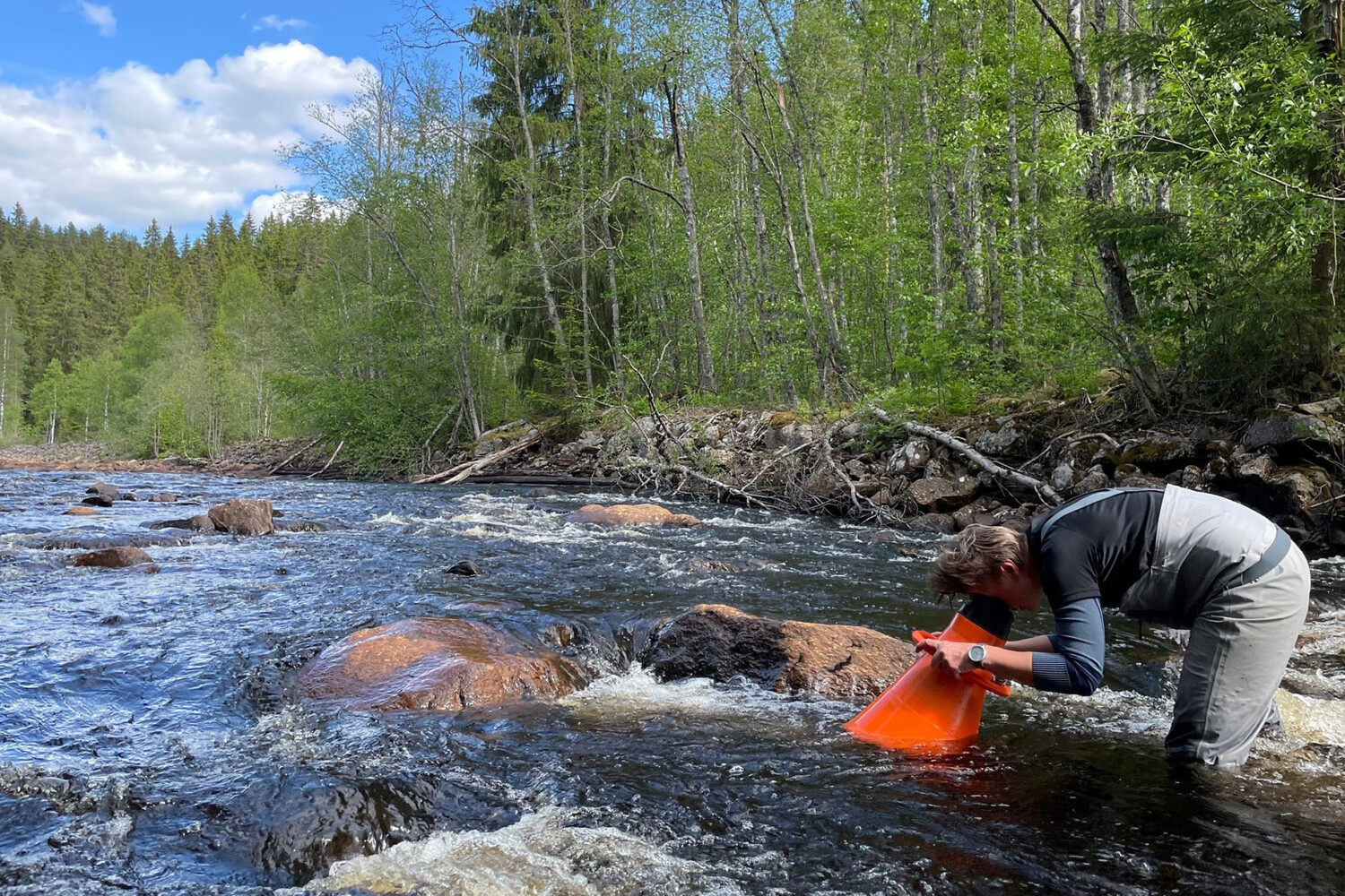 Mussel inventory in progress.
Photo: Sandra Woronin