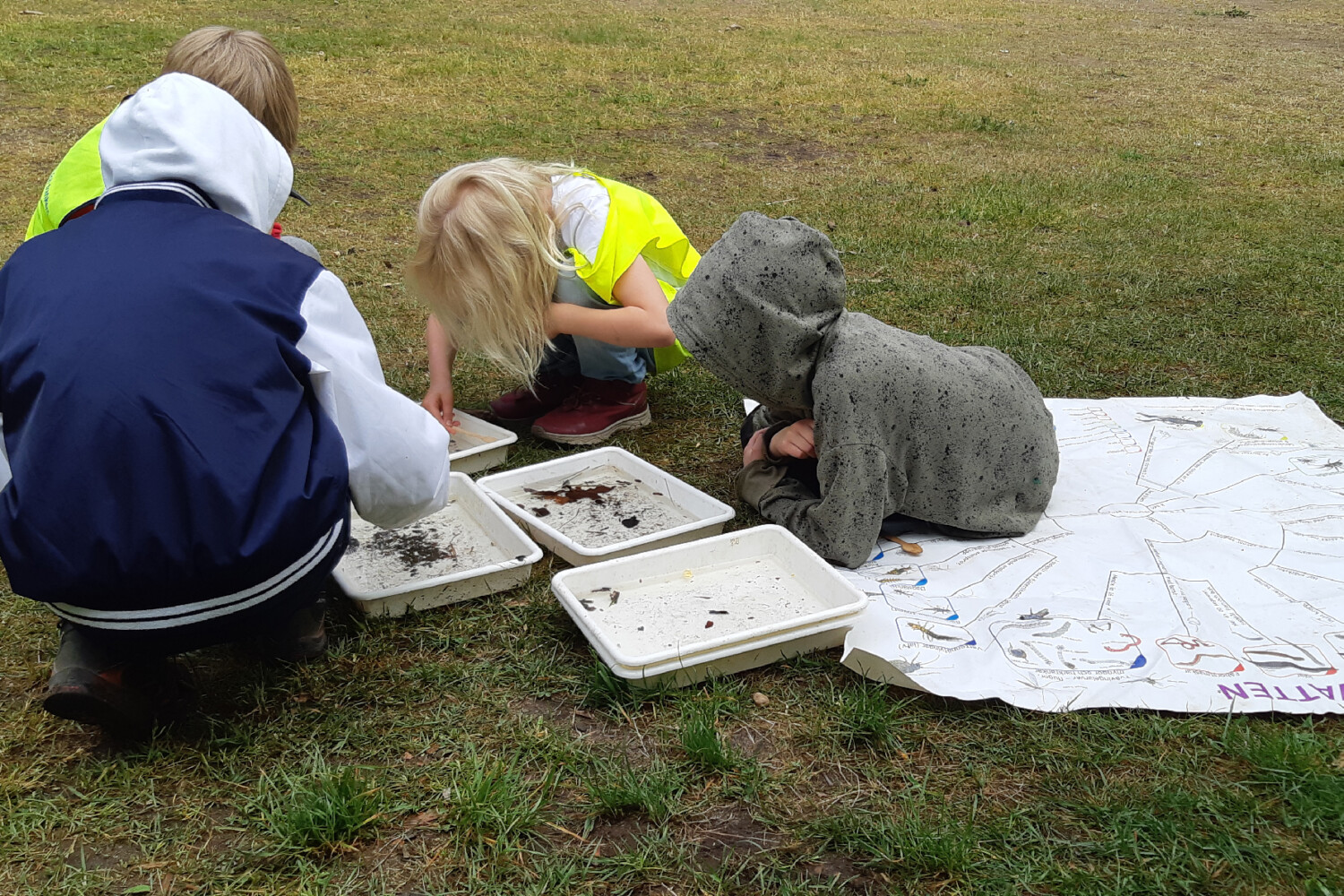 Nyfikna barn som nycklar efter små bottenlevande djur.
Foto: Ebbe Berglund