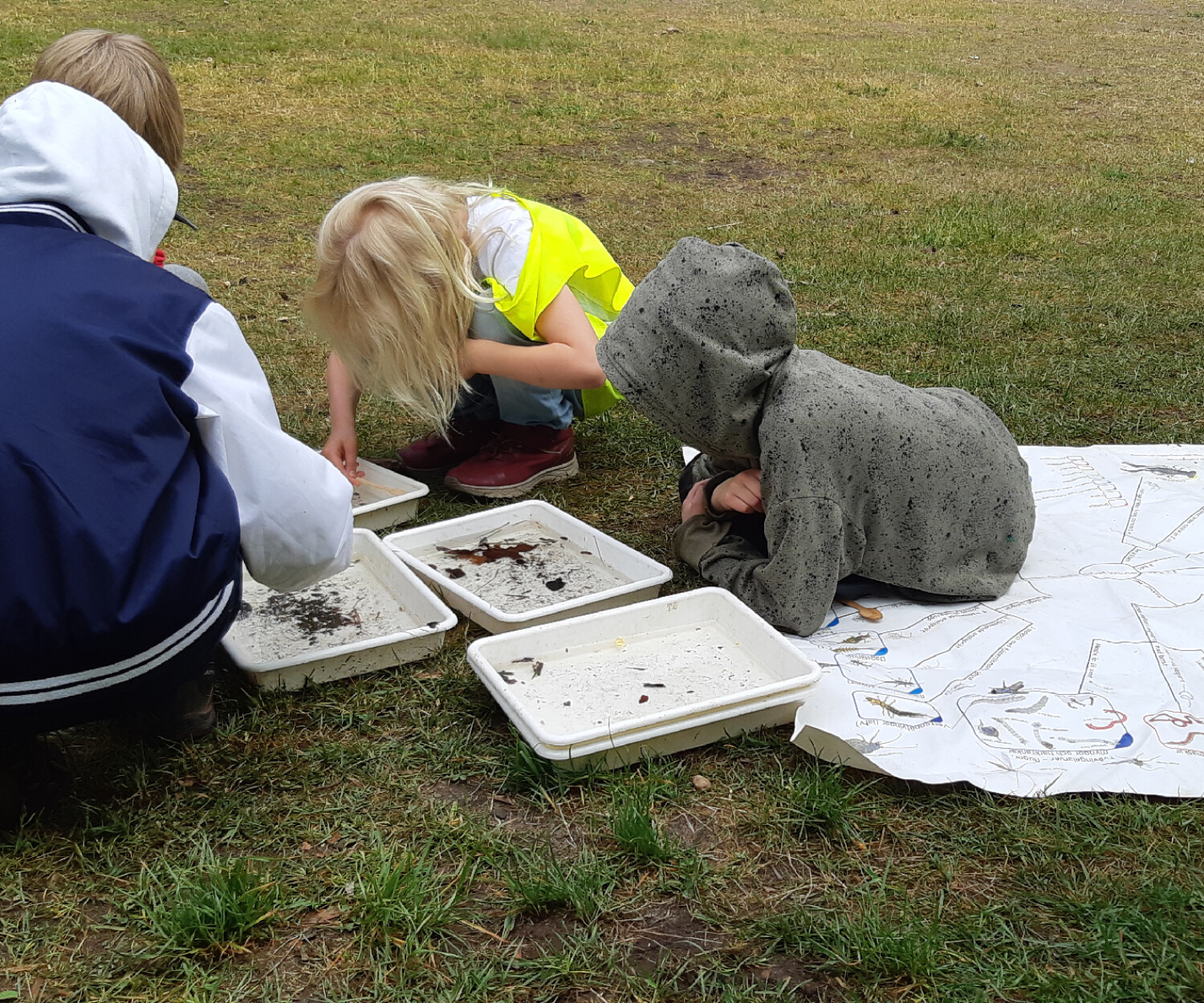 Nyfikna barn som nycklar efter små bottenlevande djur.
Foto: Ebbe Berglund
