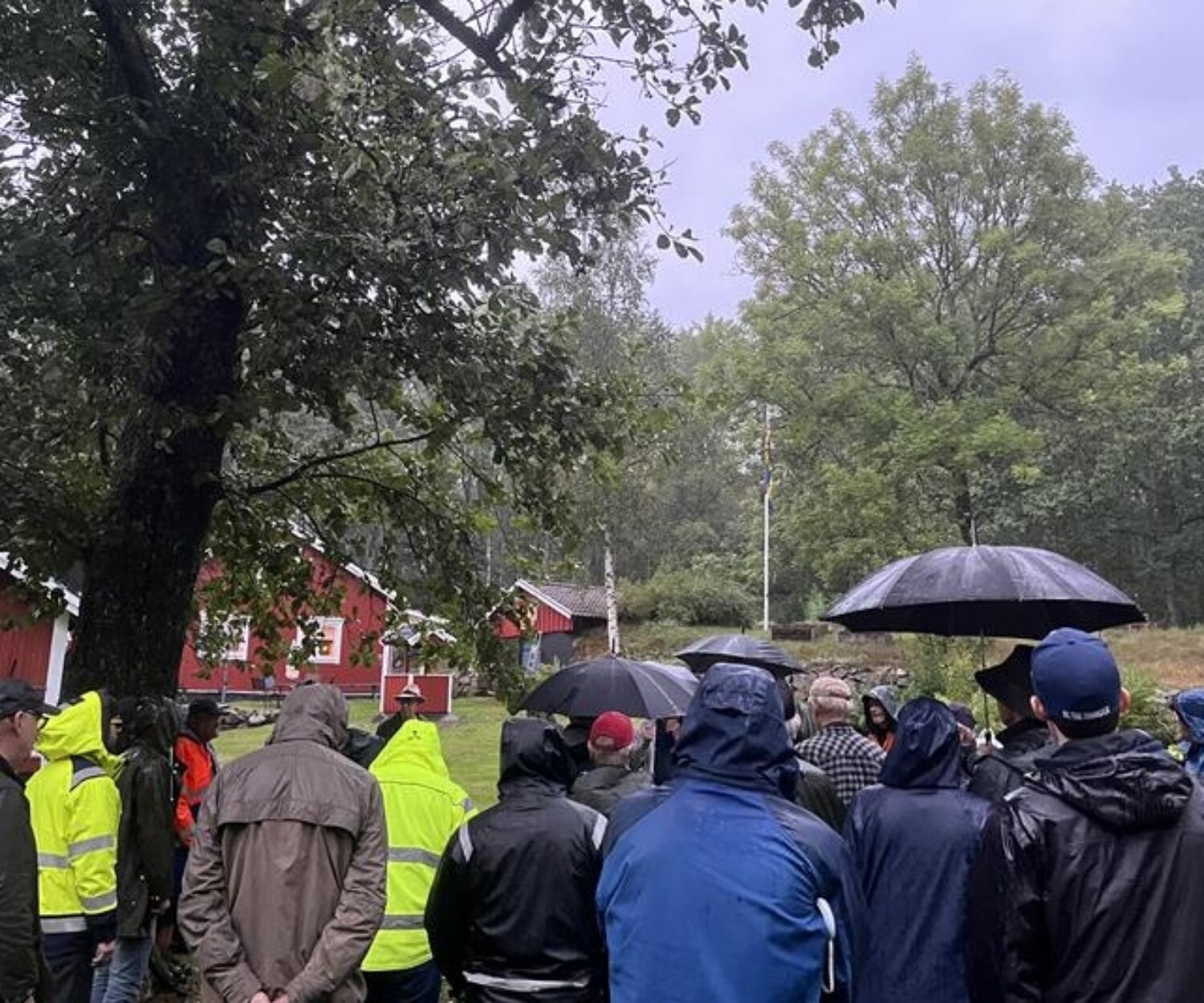 Vattendragsvandring i Bräkneån