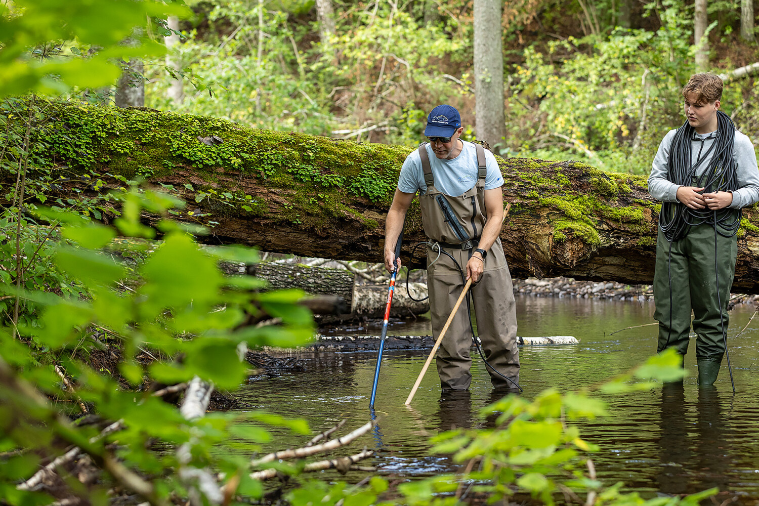 Electrofishing is ongoing.
Photo: Nicka Hellenberg