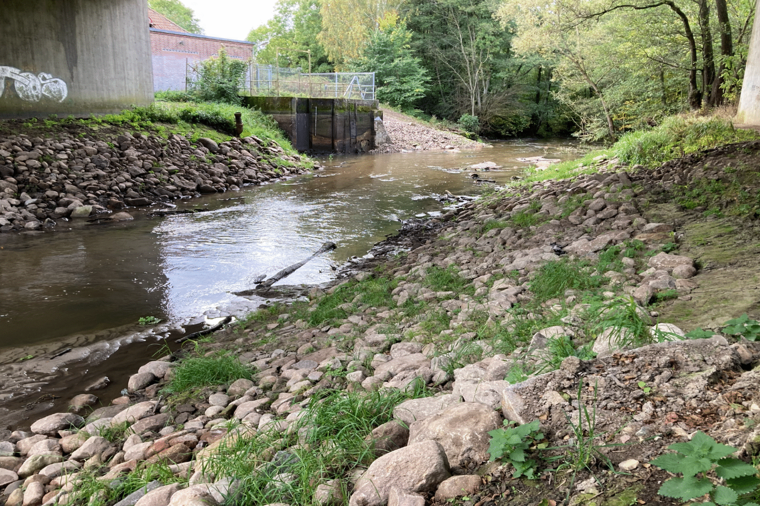 Fri passage råder nu vid Görarpsdammen.