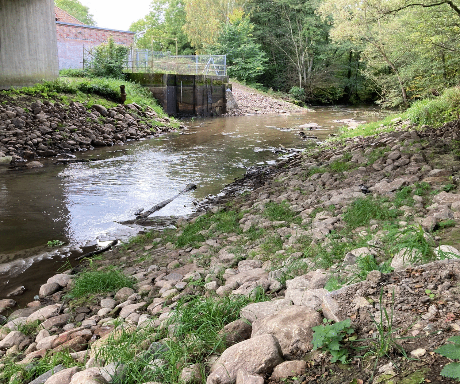 Fri passage råder nu vid Görarpsdammen.