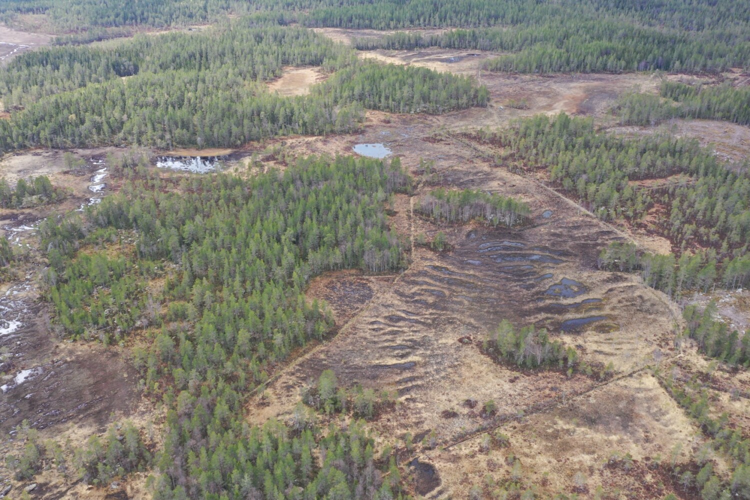 Likan ARO. Many and long ditches that do not benefit either the environment or forest production. 