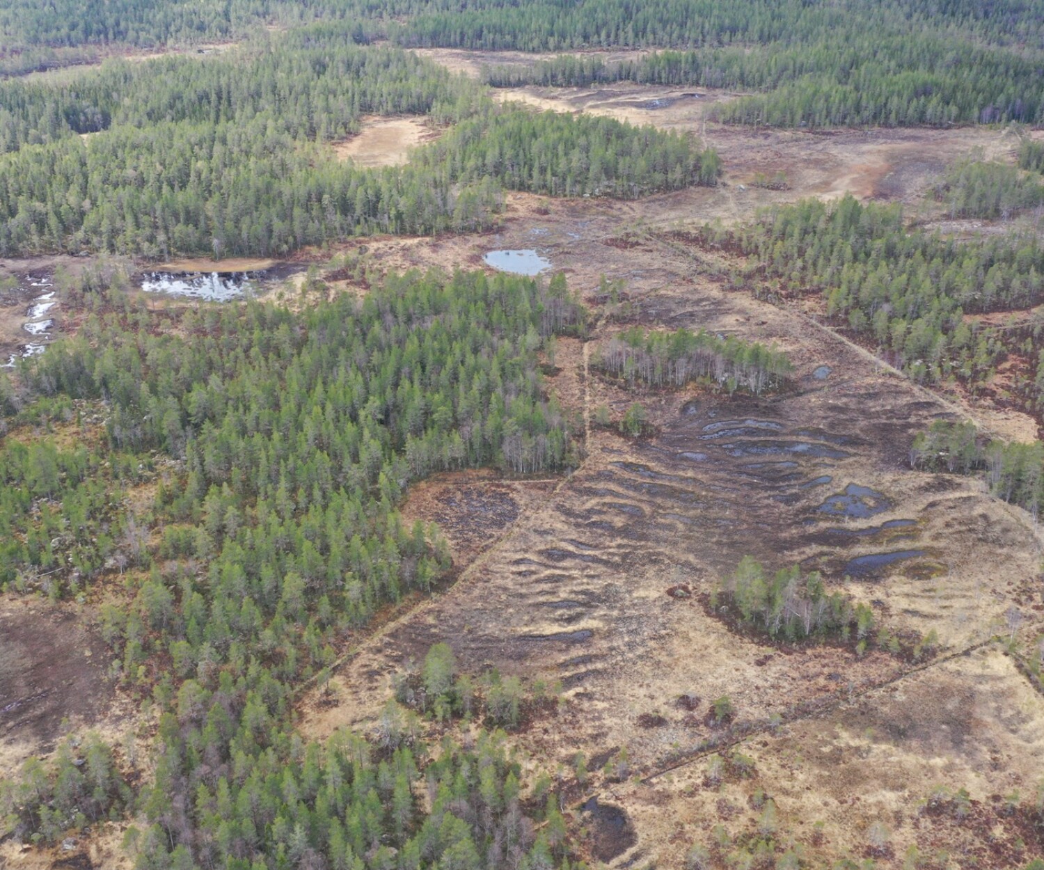 Likan ARO. Många och långa diken som inte gynnar vare sig miljö eller skogsproduktion.