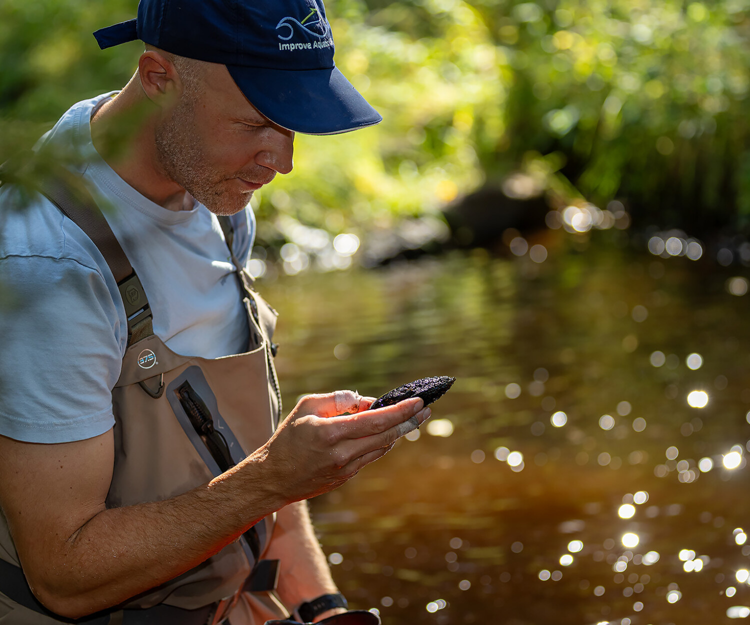 Musslorna i fokus – nytt poddavsnitt ute nu.
Foto: Nicka Hellenberg