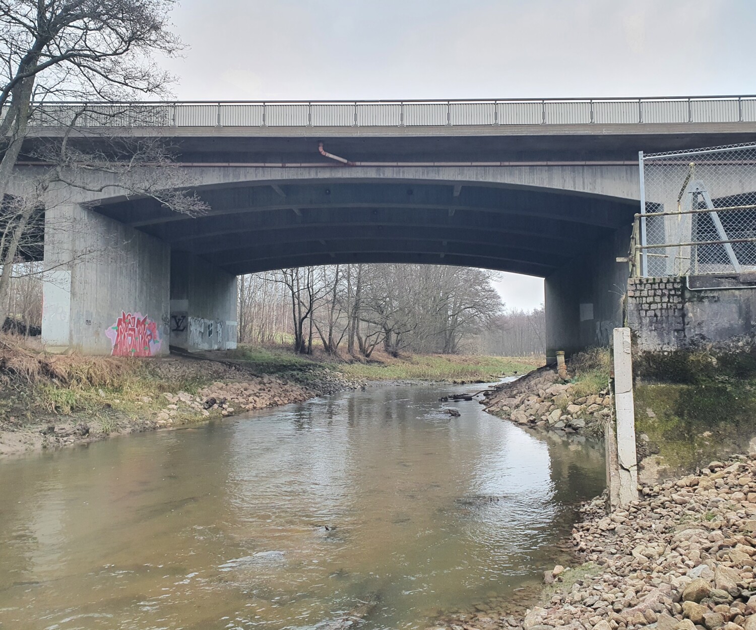 Råån nedströms den utrivna Görarpsdammen
