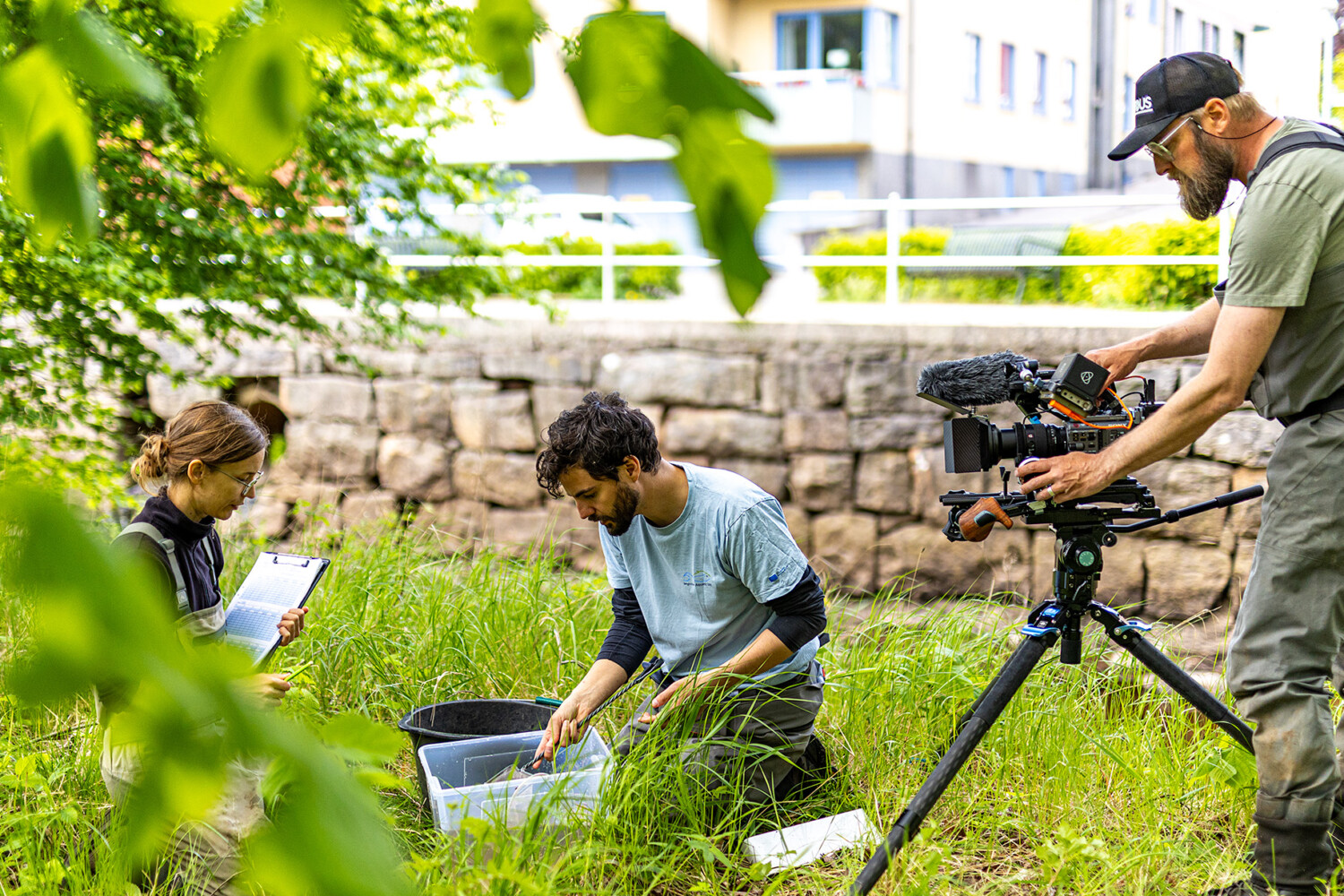 Filminspelning under inventering av havsnejonöga i Ätran.
Foto: Nicka Hellenberg